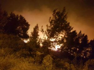 Fire in the Dolev community (Ehud Amiton/TPS)