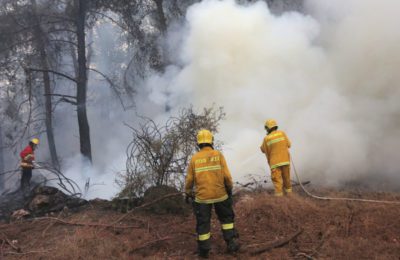 Firefighters battle to keep a fire in Latrun under control, Nov. 22. (Ashernet)