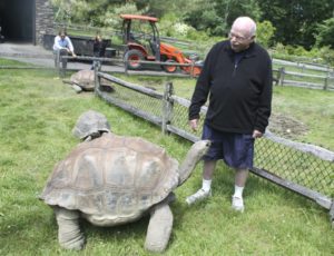 Michael Steinhardt enjoys interacting with his tortoises.