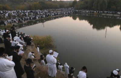 Pilgrims to Uman praying at the grave of Rebbe Nachman, Sept. 7, 2013. (Yaakov Naumi/Flash90)