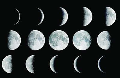 The phases of the moon (F. Espenak)