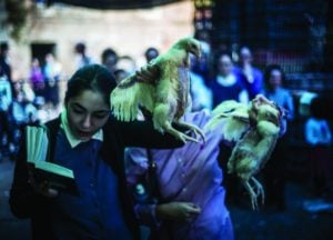 Orthodox Jewish girls perform Kapparot in Jerusalem, 2016. (Ilia Yefimovich/Getty)