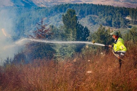Israeli firefighters try to extinguish a fire that started from a fragments of an interception missile at the Biriya Forest in northern Israel, June 4, 2024. (David Cohen/Flash90)