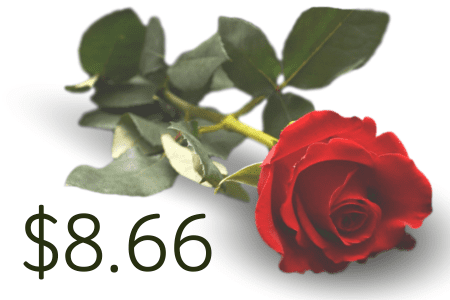 Single Rose $8.66