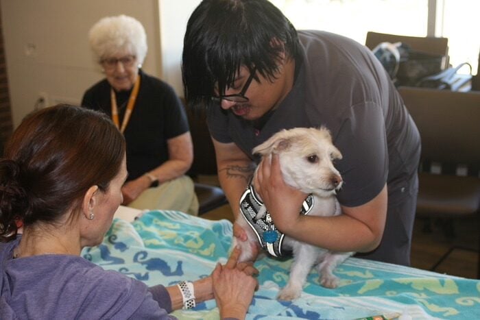 Vet tech James Jensen holds Boci while Dr. Rachel Fishman gives the pooch an innoculation as Boci’s human Bonnie Rice looks on at Kavod Senior Life, April, 2026. (Steve Mark)