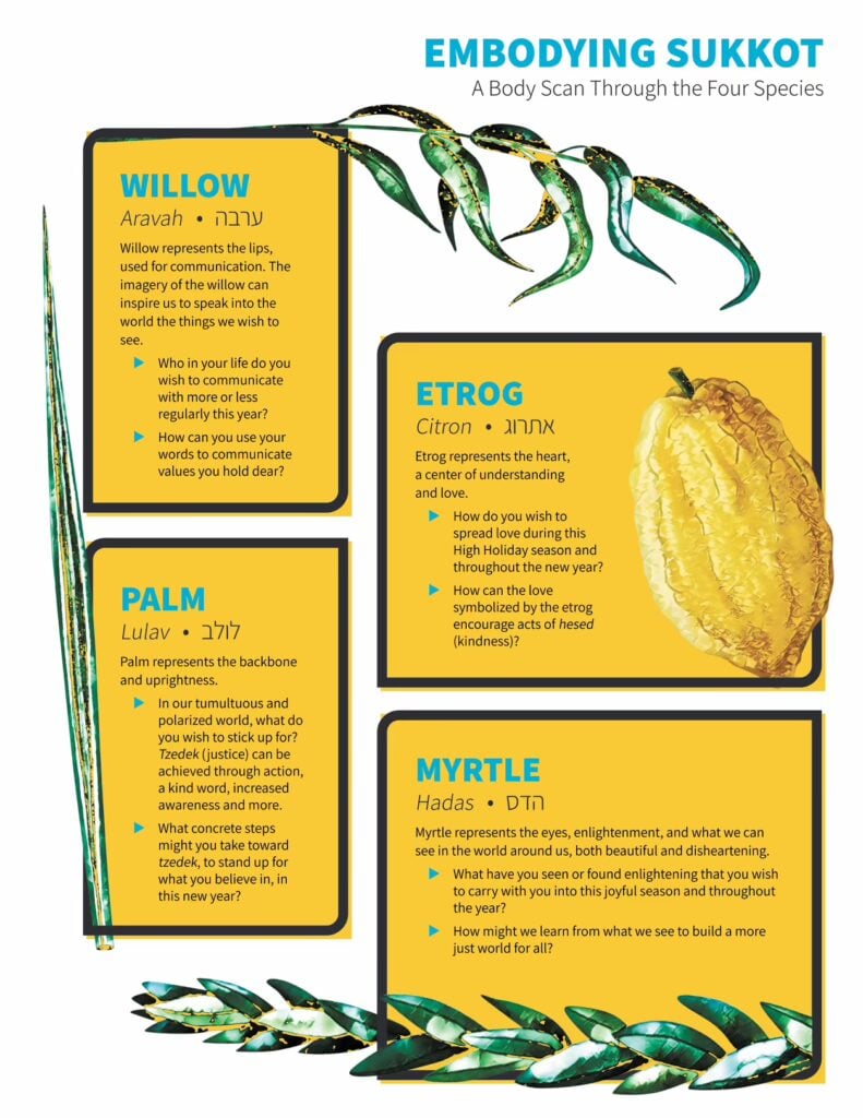 Moving Traditions’ Emodying Sukkot activity is a body scan through the Four Species.