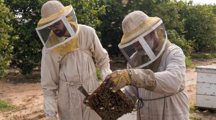Meshek_Ophir Tzvike and Noami Ophir, father-and-son beekeepers. (Adva Ophir)